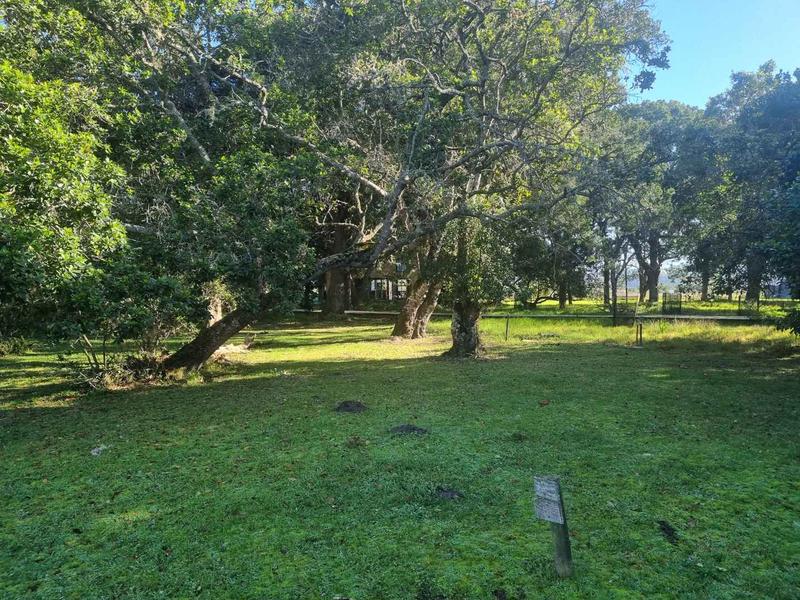 0 Bedroom Property for Sale in Brenton On Lake Western Cape